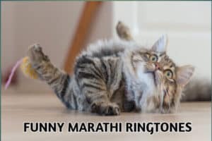 funny-marathi-ringtones-free-download